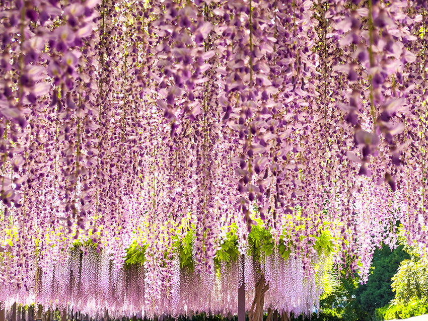 ???? ?????? ?????? .. ???? ????????? ?????? ????????? ?? ???? ????? ????????