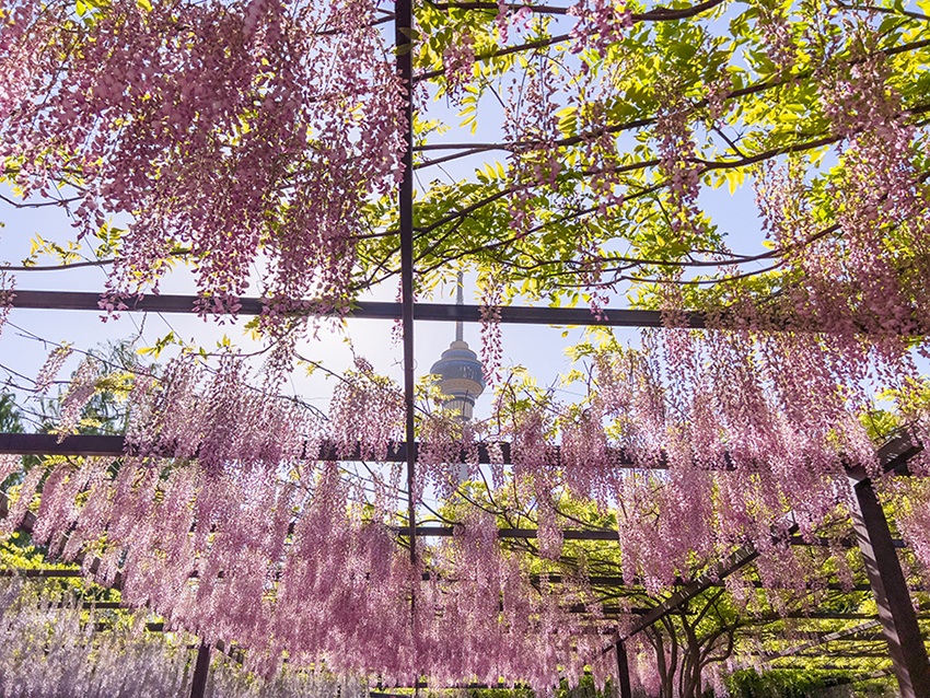 ???? ?????? ?????? .. ???? ????????? ?????? ????????? ?? ???? ????? ????????