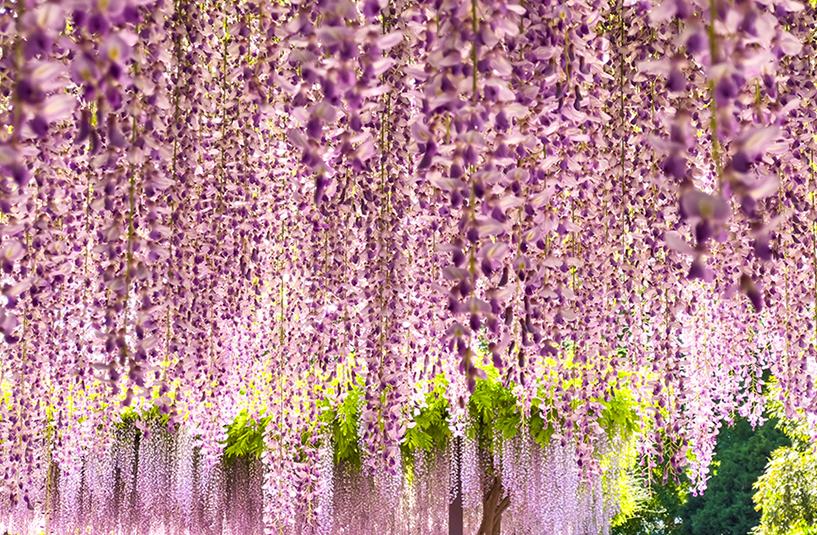 ???? ?????? ?????? .. ???? ????????? ?????? ????????? ?? ???? ????? ????????