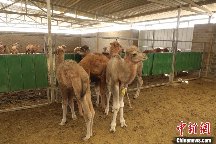 ????? ???? ?? ????? ??? ??? ?? ?????? ??????? ??? ????? ????? ?????? ??????? ??????