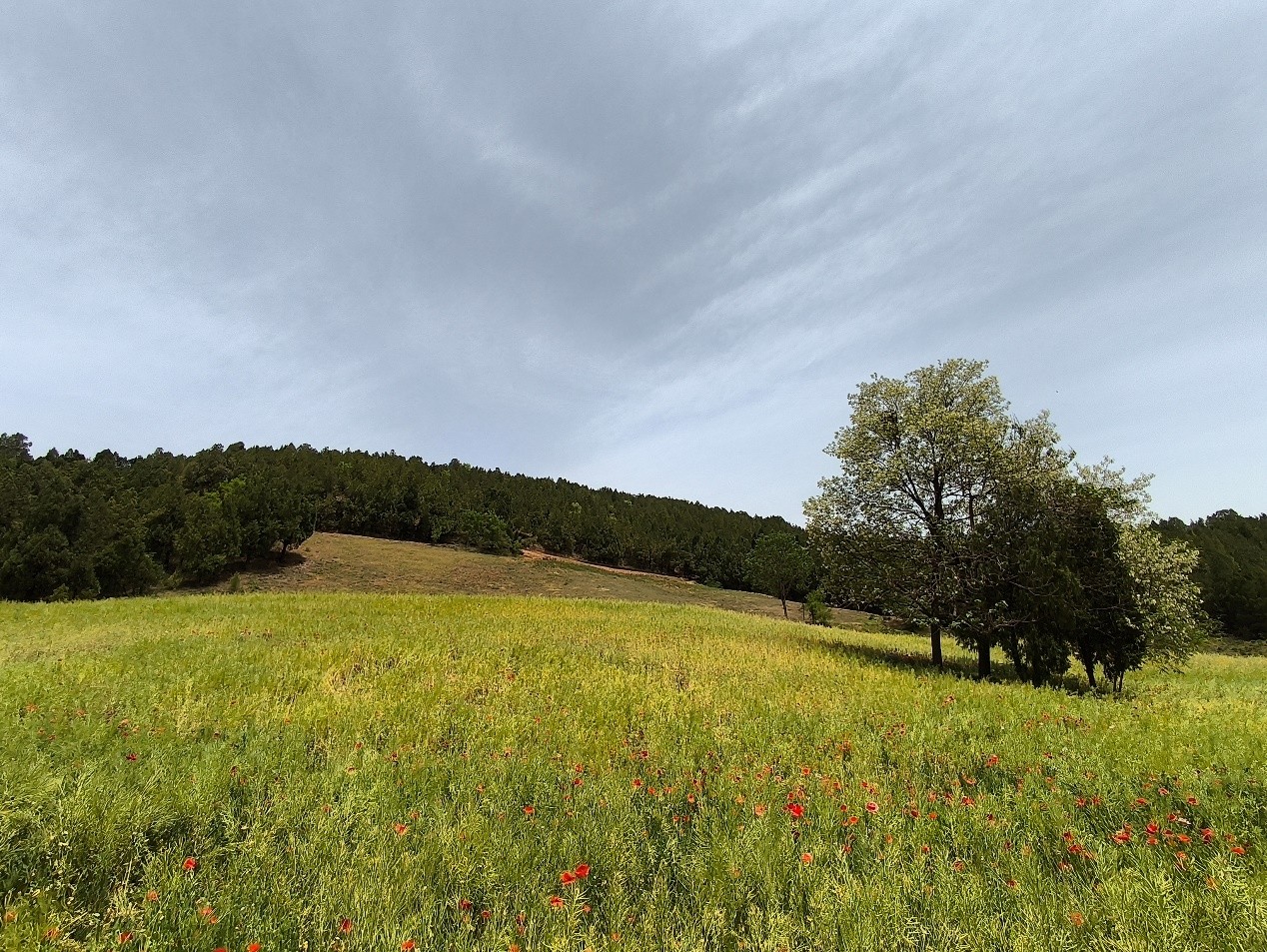 ???? ????? ???? ?????? ????? ??????? ?? ???? ????