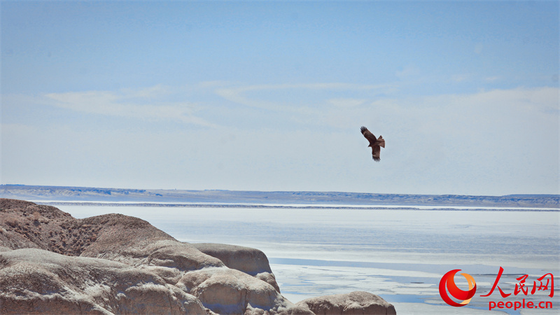 ??????? ?????? ??????? ?? ????? ??????? ??? ???? ????