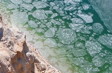 ??????? ?????? ??????? ?? ????? ??????? ??? ???? ????