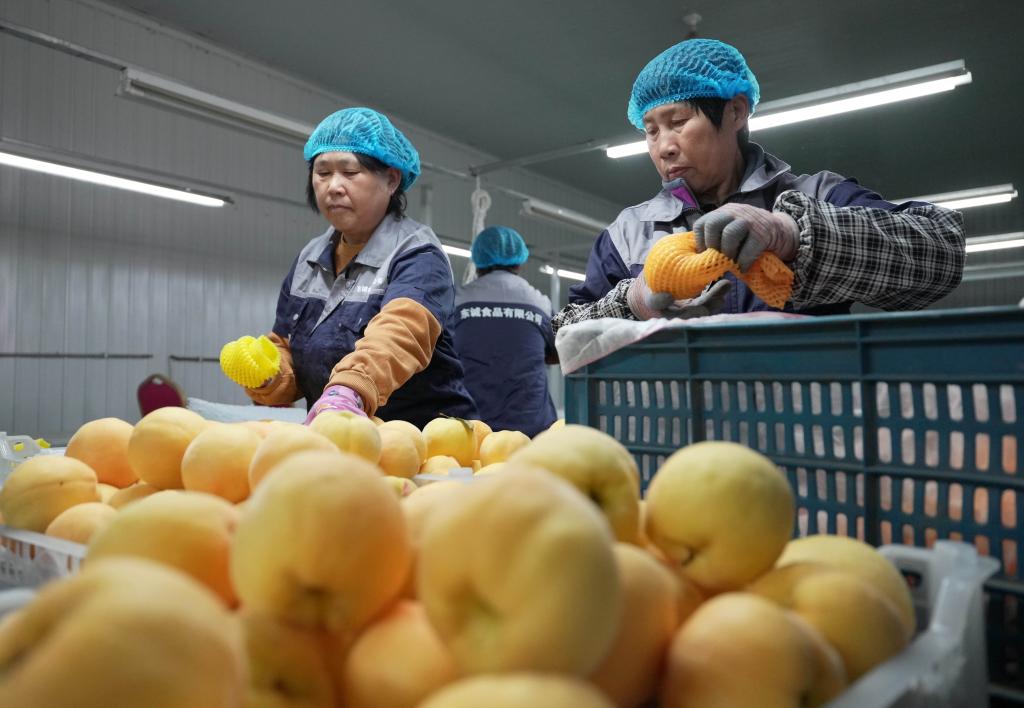 ??????: ???? ????? ?? ????? ?????