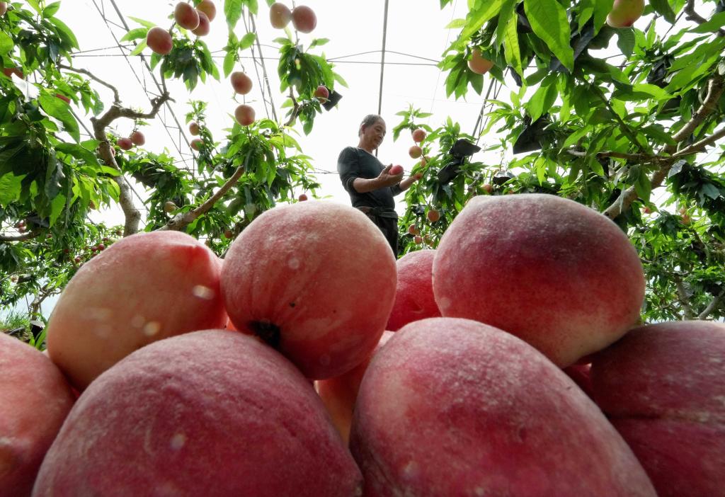 ??????: ???? ????? ?? ????? ?????