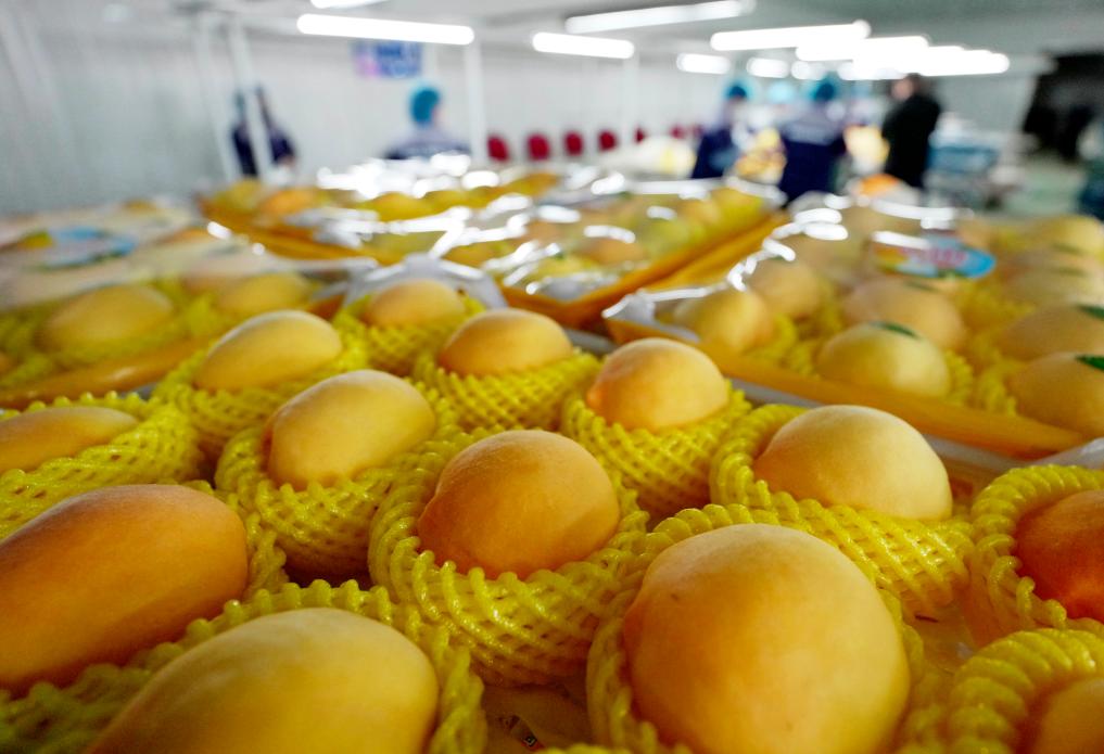 ??????: ???? ????? ?? ????? ?????