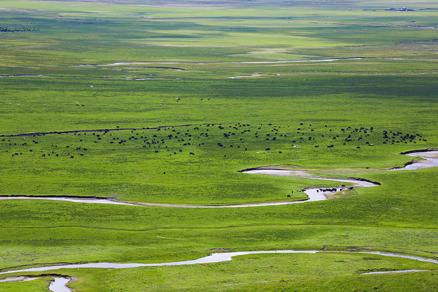 ???? 270 ????? ?????.. ????? ?????? ?????? ?? ????? ???????