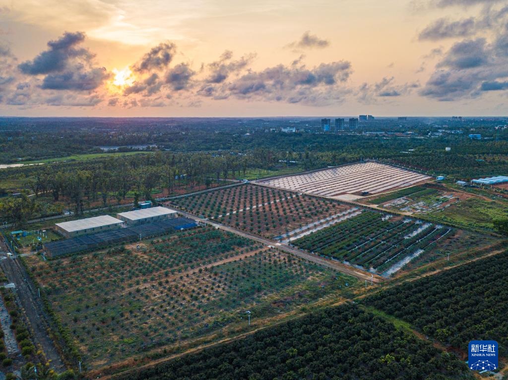 ?????? ?????????? ???? ????? ?? ????????? ??????