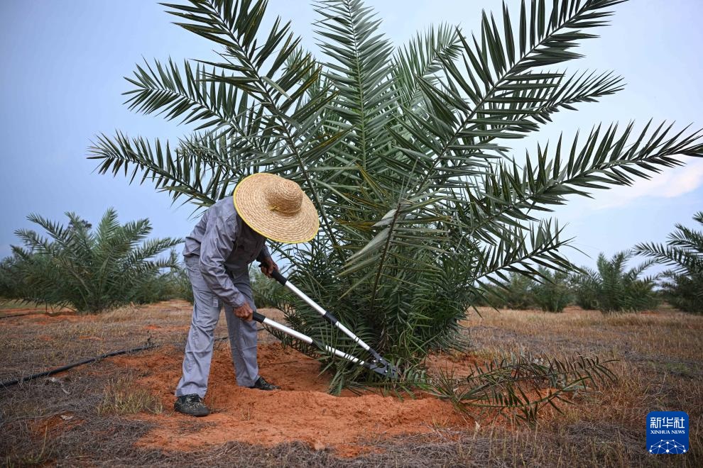 ?????? ?????????? ???? ????? ?? ????????? ??????