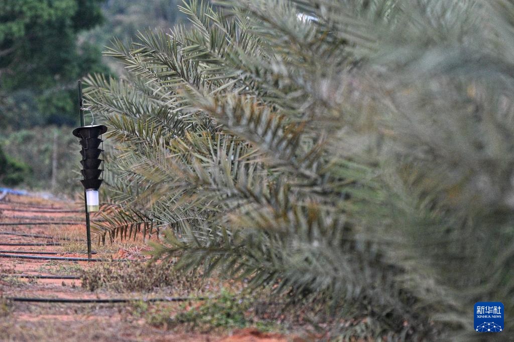 ?????? ?????????? ???? ????? ?? ????????? ??????