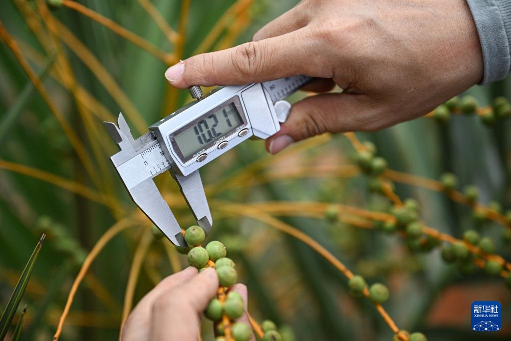 ?????? ?????????? ???? ????? ?? ????????? ??????