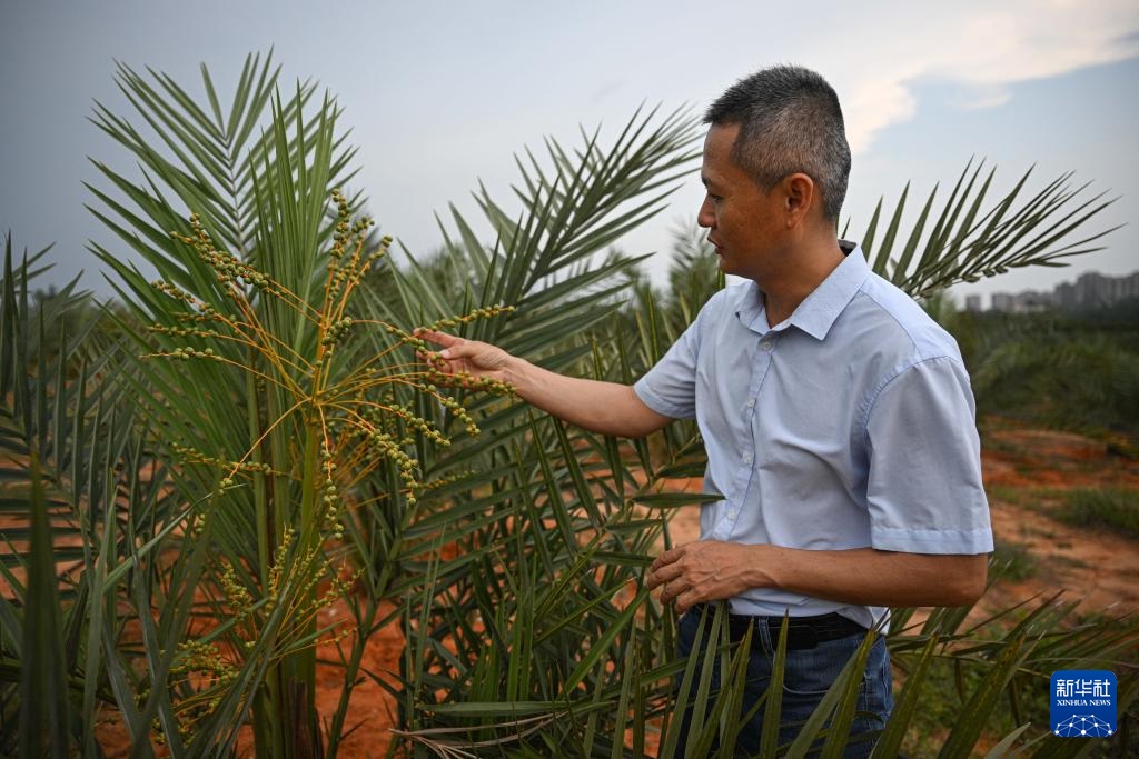 ?????? ?????????? ???? ????? ?? ????????? ??????