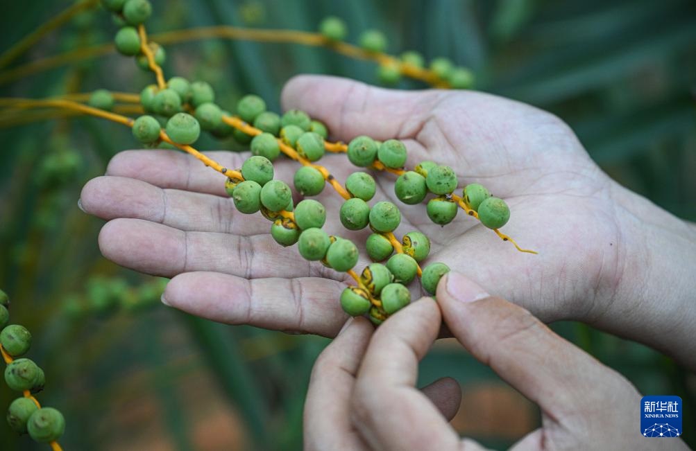 ?????? ?????????? ???? ????? ?? ????????? ??????