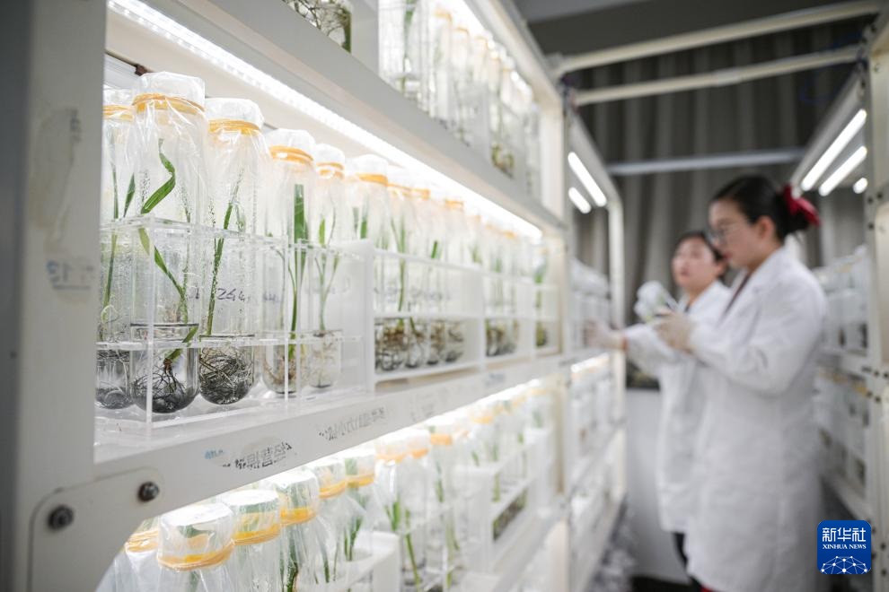 ?????? ?????????? ???? ????? ?? ????????? ??????