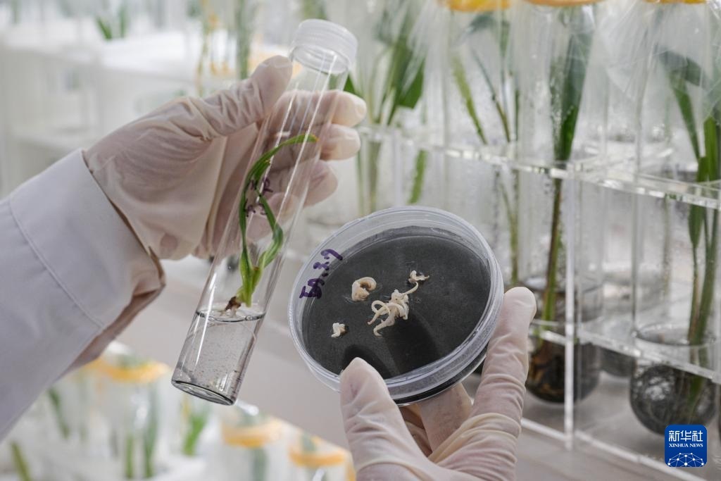 ?????? ?????????? ???? ????? ?? ????????? ??????