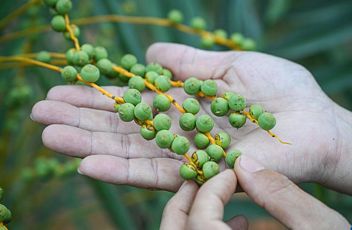 ?????? ?????????? ???? ????? ?? ????????? ??????