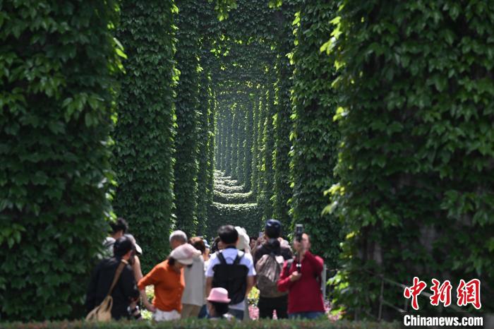 ?? ??????? ??? ???? ????