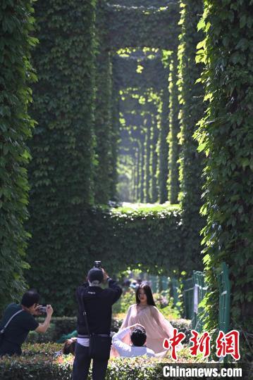 ?? ??????? ??? ???? ????