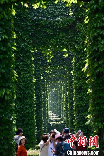 ?? ??????? ??? ???? ????