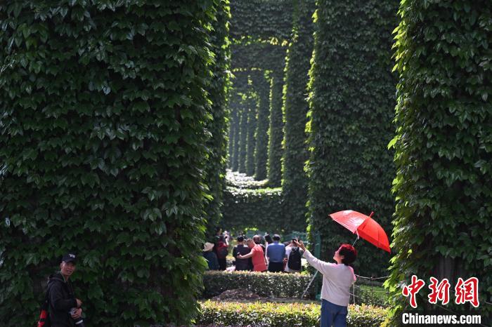 ?? ??????? ??? ???? ????