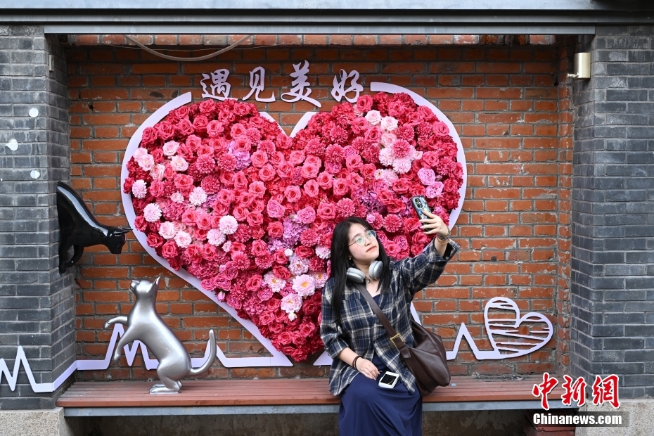 ????? ????? ???? ???? ???? ???????