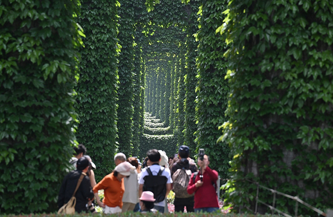 ?? ??????? ??? ???? ???? "???? ??? ??????"