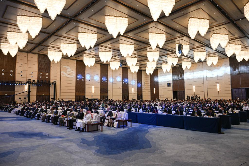 ??????: ?????? ?????? ???11 ?????? ???? ??????? ???????? ??????