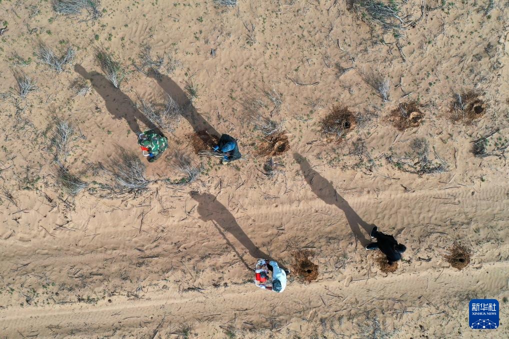 ???? ???? ?????? ?????? ?? ????? ???????