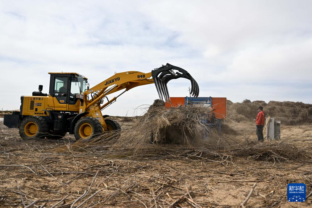 ???? ???? ?????? ?????? ?? ????? ???????