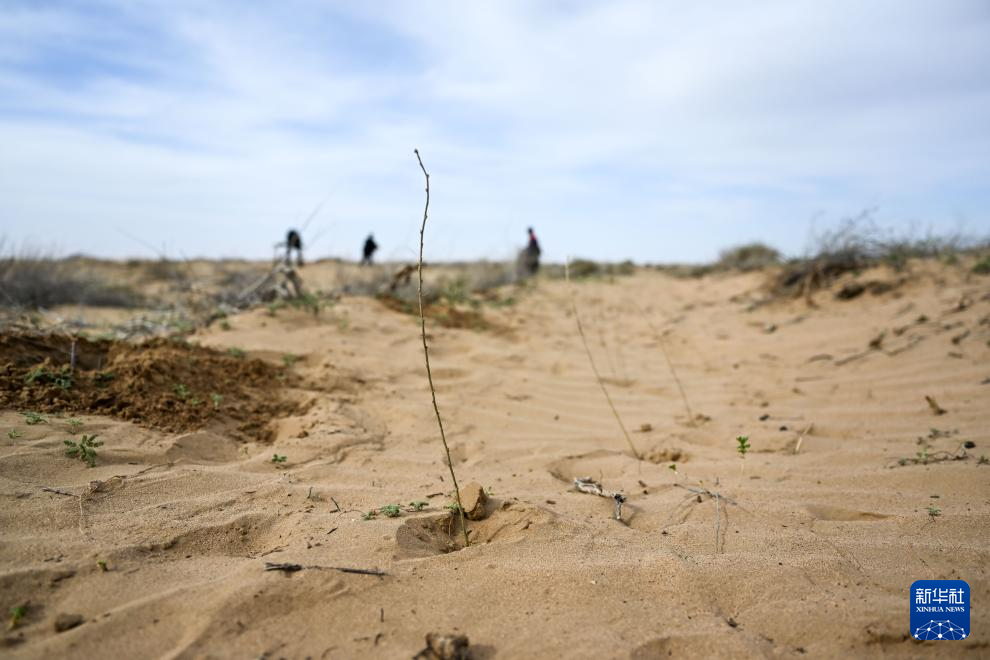 ???? ???? ?????? ?????? ?? ????? ???????