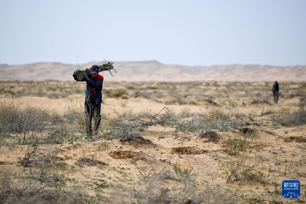 ???? ???? ?????? ?????? ?? ????? ???????