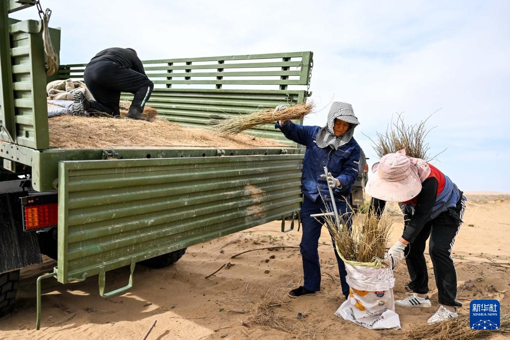 ???? ???? ?????? ?????? ?? ????? ???????