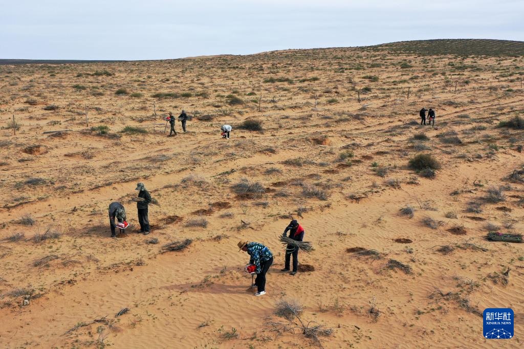 ???? ???? ?????? ?????? ?? ????? ???????