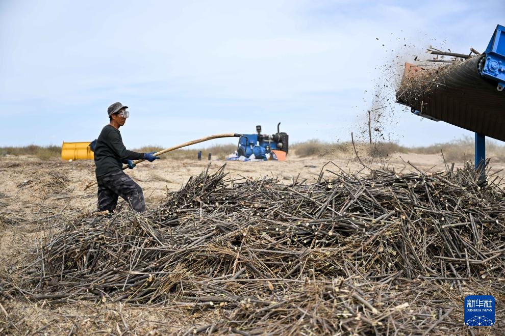 ???? ???? ?????? ?????? ?? ????? ???????