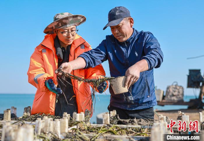 ????? ???? ????? ?? ????????... ???? ??? ??????? ??????? ?????? ??????