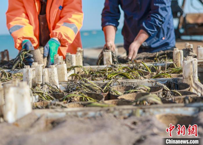 ????? ???? ????? ?? ????????... ???? ??? ??????? ??????? ?????? ??????