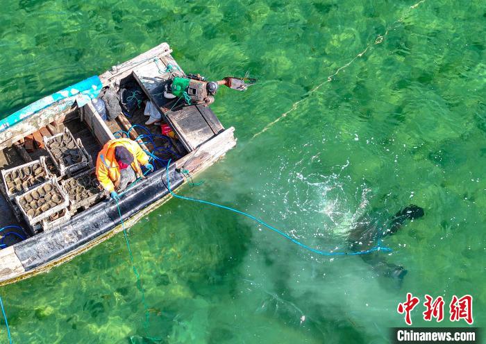 ????? ???? ????? ?? ????????... ???? ??? ??????? ??????? ?????? ??????