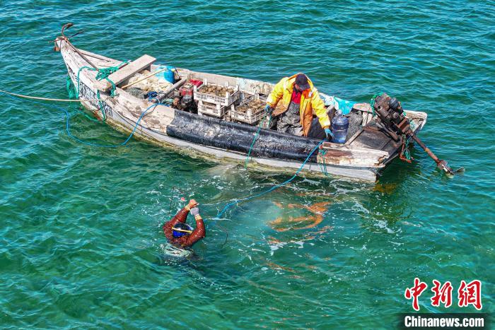 ????? ???? ????? ?? ????????... ???? ??? ??????? ??????? ?????? ??????