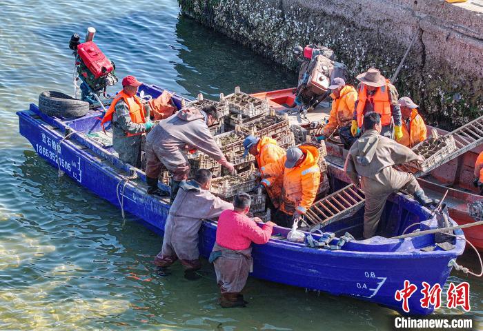 ????? ???? ????? ?? ????????... ???? ??? ??????? ??????? ?????? ??????