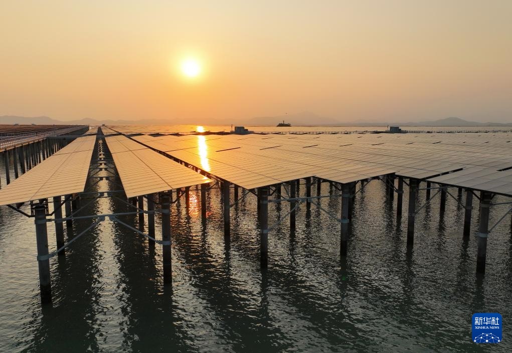 ??? ???? ???? ????????? ?? ???? ?????? ??????? ???? ????? ????? ???????? ???????