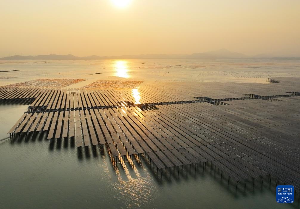 ??? ???? ???? ????????? ?? ???? ?????? ??????? ???? ????? ????? ???????? ???????