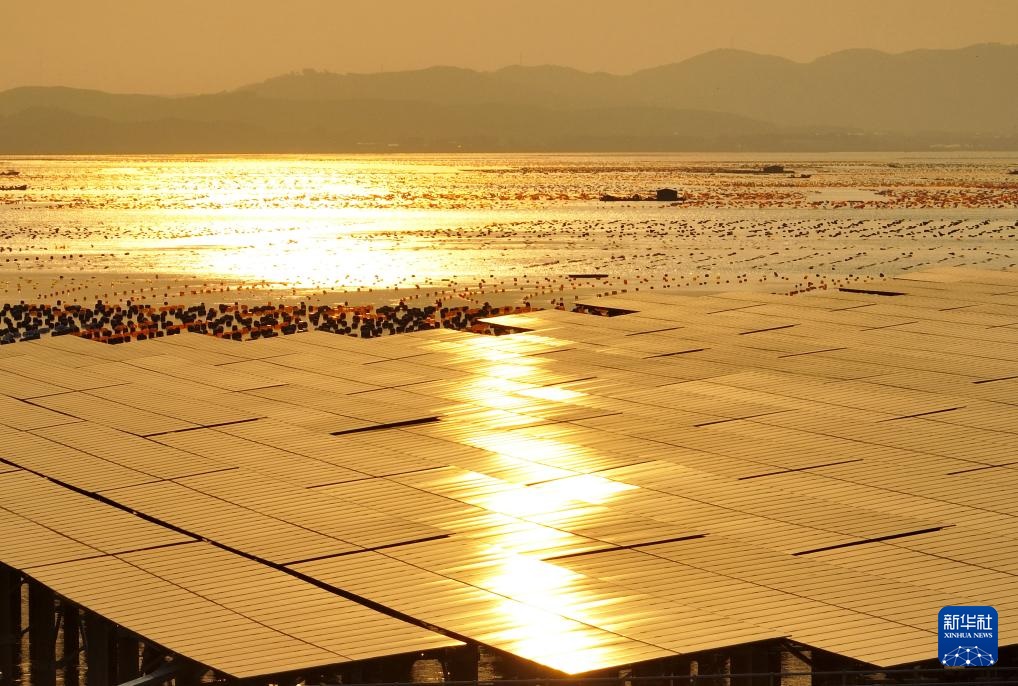 ??? ???? ???? ????????? ?? ???? ?????? ??????? ???? ????? ????? ???????? ???????