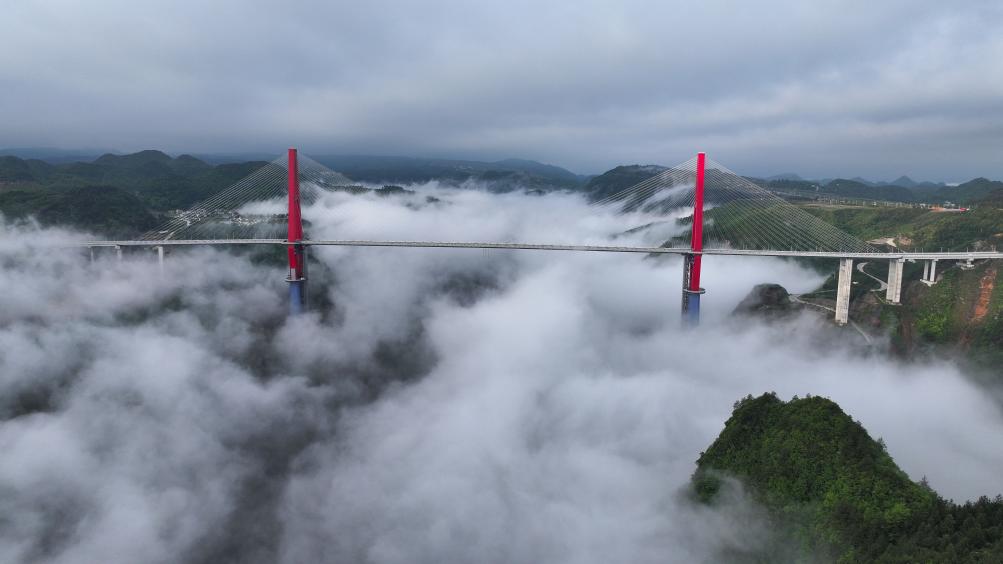 ???? ??? ???? ??? ????? ???? ?????