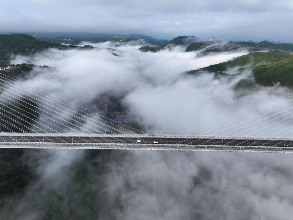 ???? ??? ???? ??? ????? ???? ?????