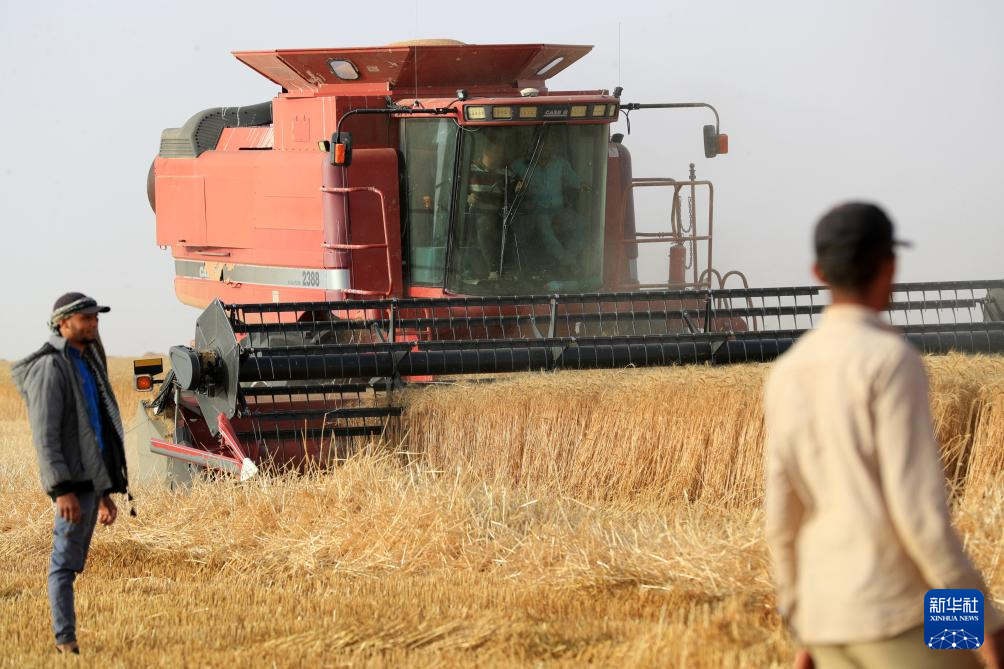 ??? ??? ?????? ?????? ?? ???????