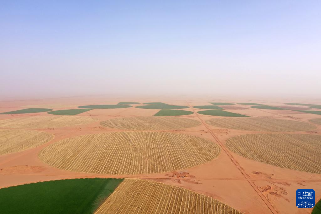 ??? ??? ?????? ?????? ?? ???????