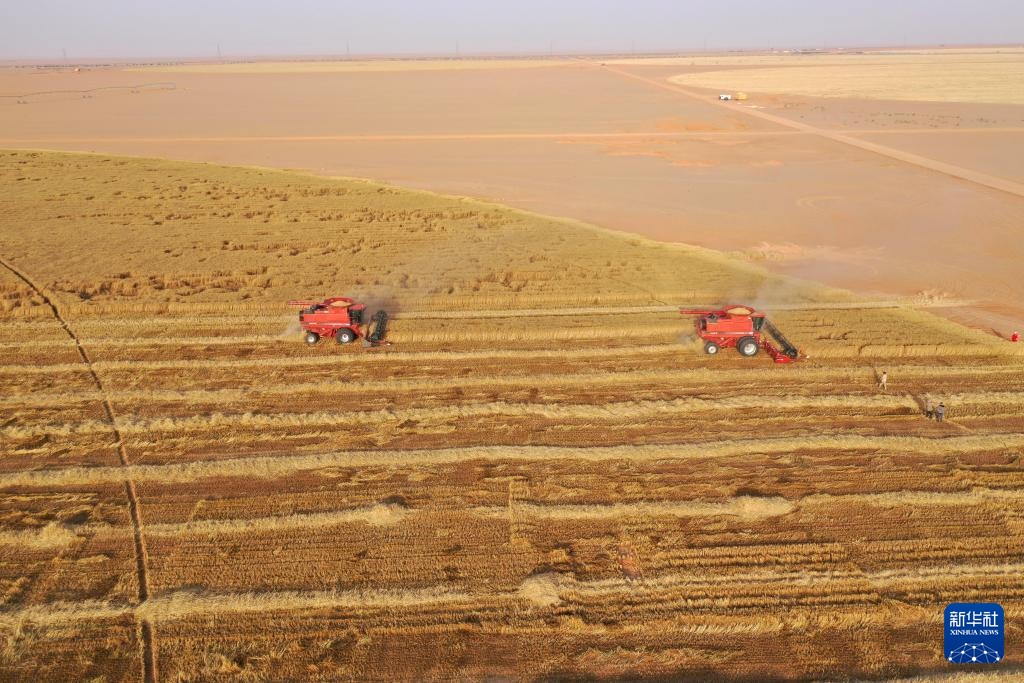 ??? ??? ?????? ?????? ?? ???????