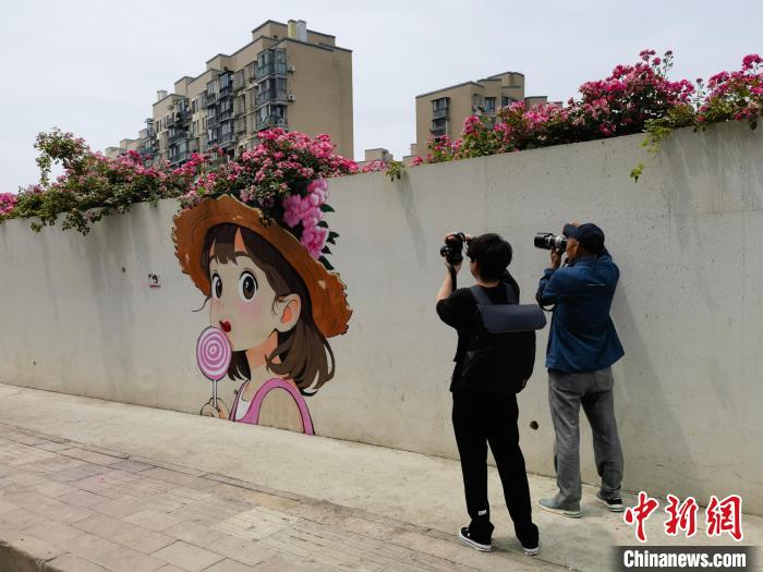 ???? ?????????? ?? ???????