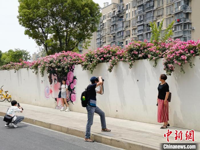 ???? ?????????? ?? ???????