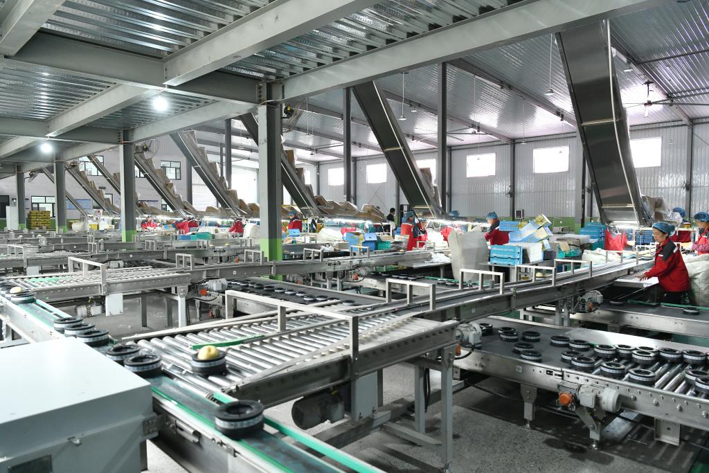 ????? ??????? ??????? ?? ?????? ??? ??? ????????? ???? ???